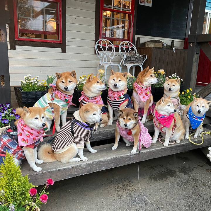 81e4b9e7 5cbd 4ec5 9f1f 39f34453a92f 1680964866911