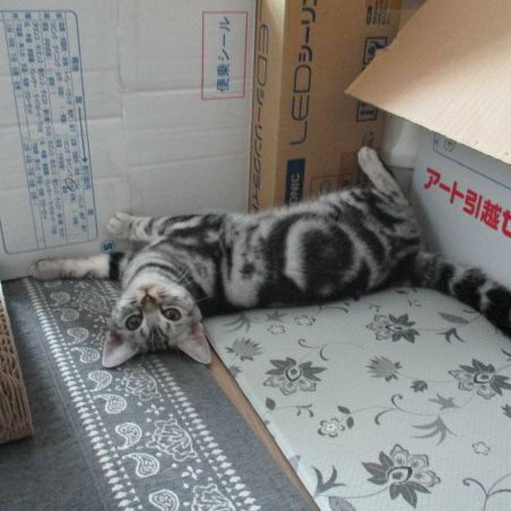 81e4e9a9 3471 4761 a521 ee9c1b7dc9d1 1537765465031