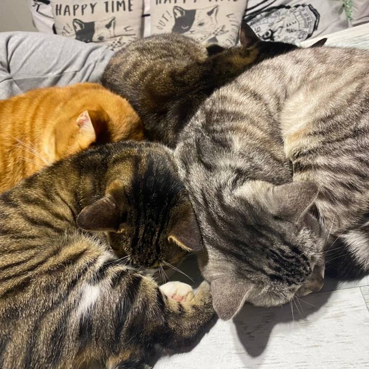 81e4ef12 0432 42a1 b3ae 3ef351ac44a0 1609511037163