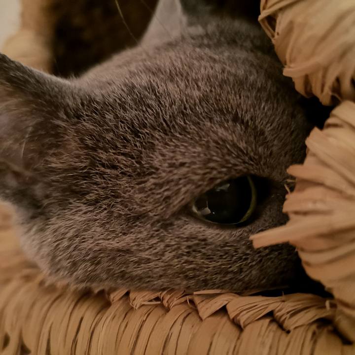 81e506d0 5bd1 48ff 8f5a b845137dea44 1601644255854