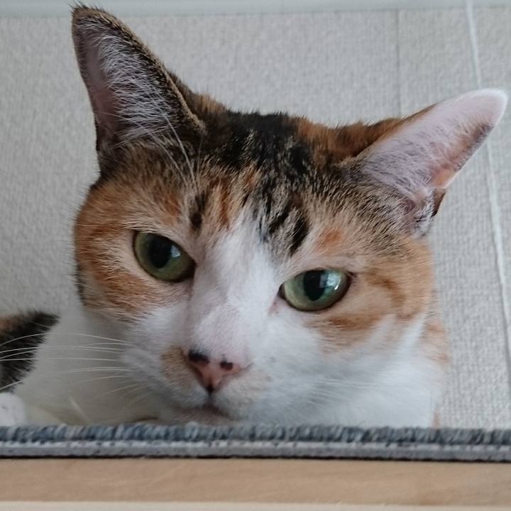 81e5184a ed01 4a85 9c8e bd7c199f6ad5 1578399810707