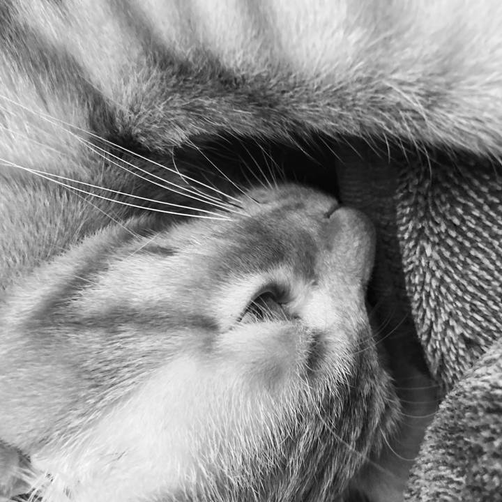 81e51d6e a385 4305 a44b d13722b8e66d 1590823345537