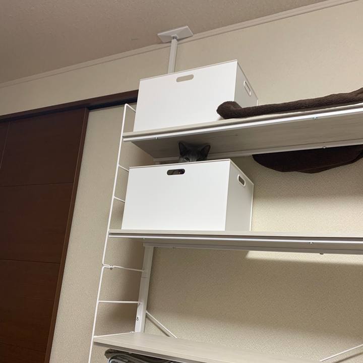 81e52d11 6e6b 4fae 8f94 677beca00b90 1653546385546