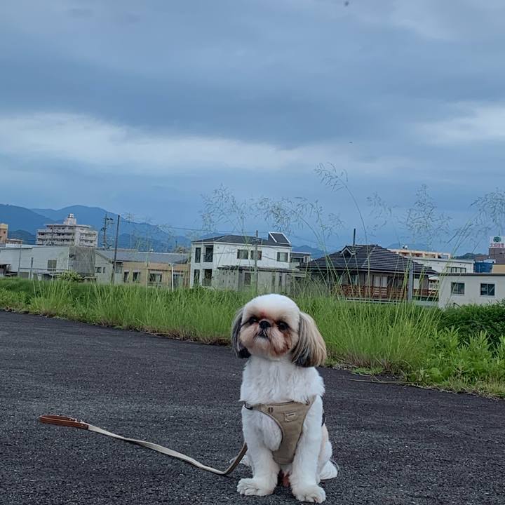 81e55a91 c7d2 44ff bfd2 f53922721650 1624456274695