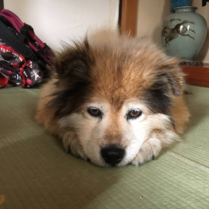 81e585ce aaaa 4554 aff7 ad2b7248a6ec 1619920383261