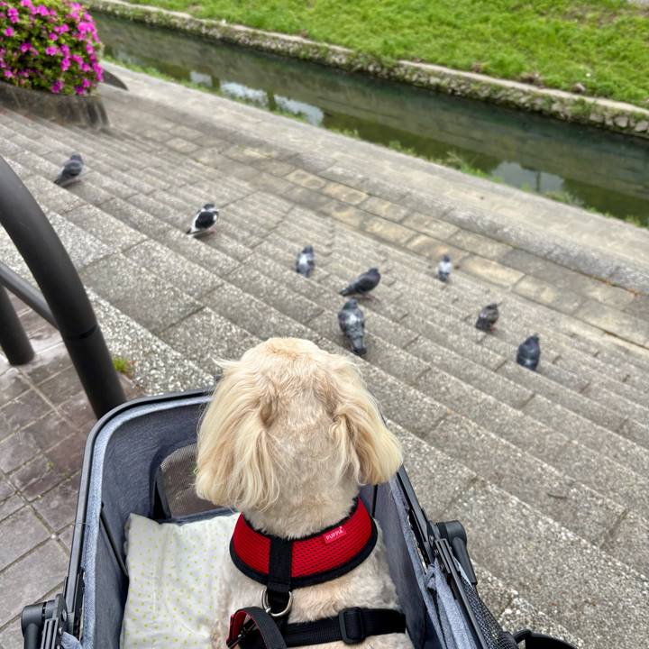 81e58eda 7949 4f3d 8211 be96726d3e42 1776398248510