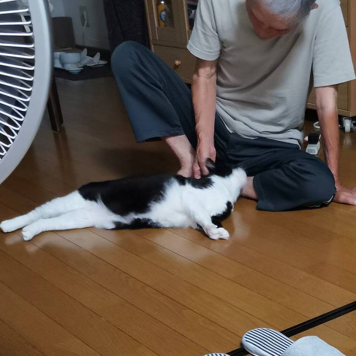 81e5956c ab71 4558 aa71 29f1454383ea 1694146019053