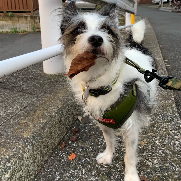 81e59f9f a2ff 4bb9 a1e3 74d6a519d0ad 1572246255190