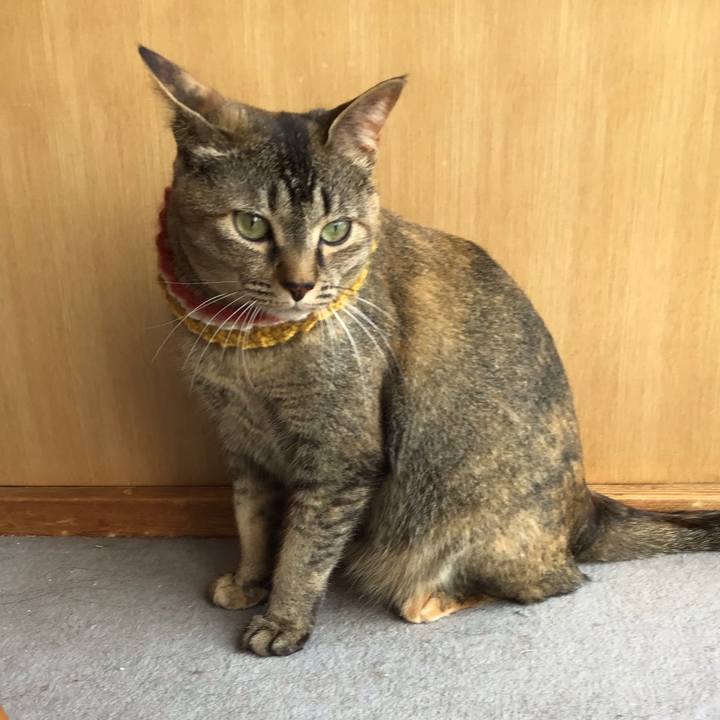 81e5a5b8 cc42 4481 afef cebb0d557c89 1623308142351