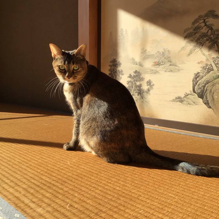 81e5fe87 12ab 4b37 bcba c352f25ada64 1608004979731