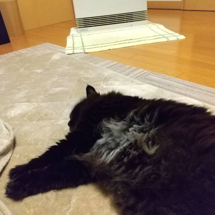 81e5feb4 46ce 46c6 9a85 f8b84549524e 1651317221691