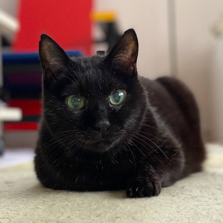 81e62165 ec80 4965 a6f1 b9d8ec181780 1605879529820