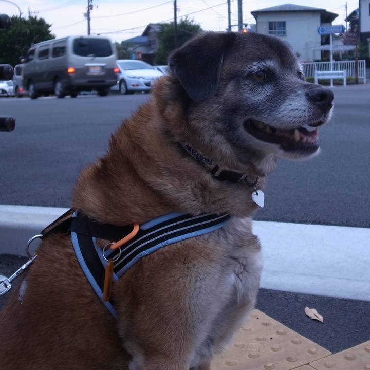 81e623bd a9cd 4ffa 8744 2ba45410f8dc 1609287921888