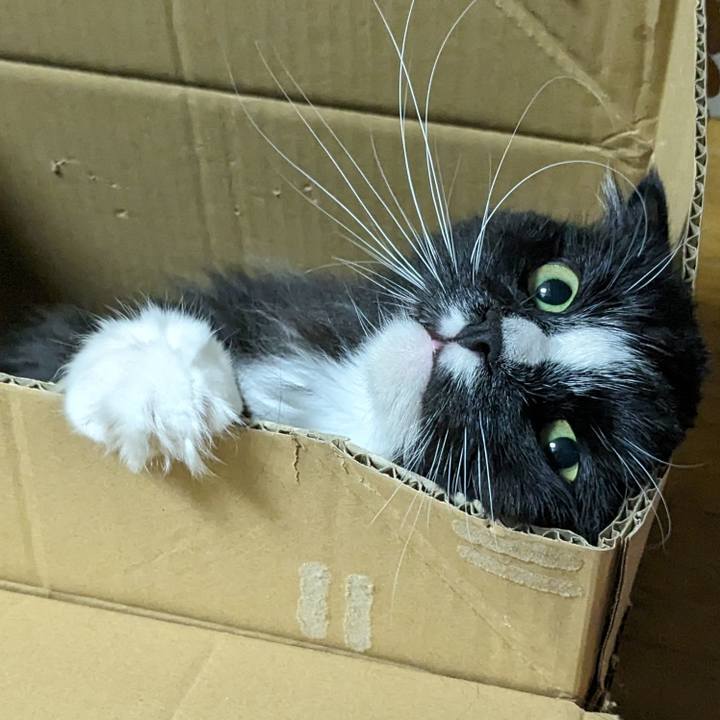 81e68c5c 4d4f 4540 a59c b7816cb8ae71 1717453576106