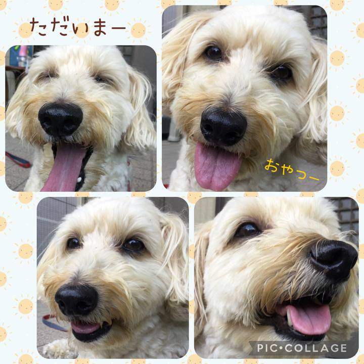 81e6a29e a27c 46aa 8f6d 7ab473b9c8c2 1693612025679