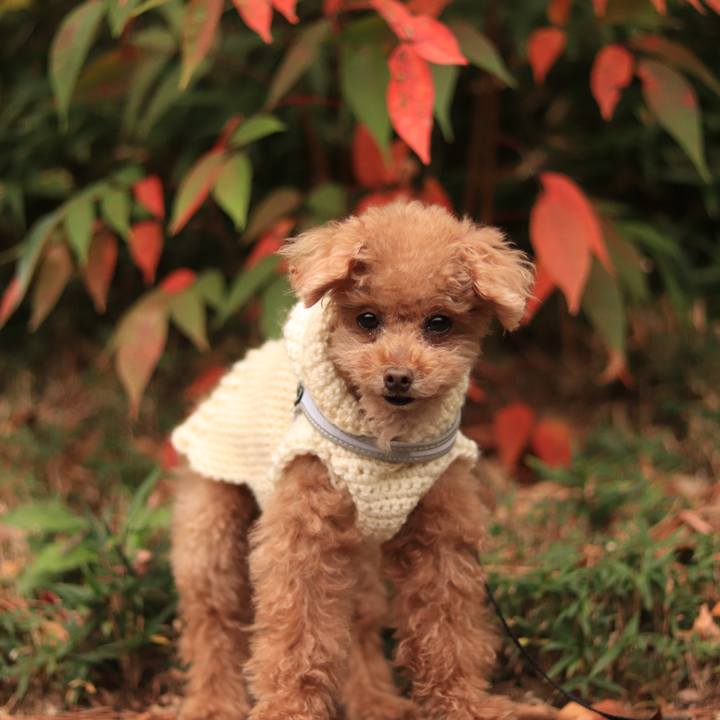 81e6b157 3c27 41ff 877d eecde66f1506 1637481996958