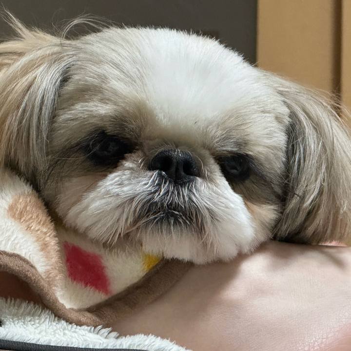 81e6b5f0 08f4 4591 a347 d5cfd701f8da 1735564874966