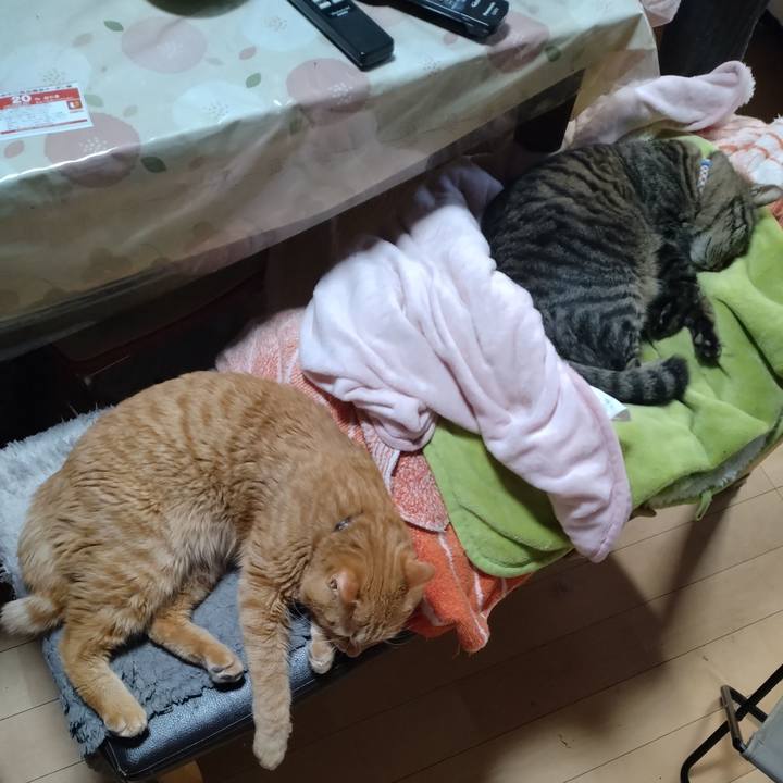 81e6c560 4de1 46de 846e ede5eb0bbf15 1677315379705