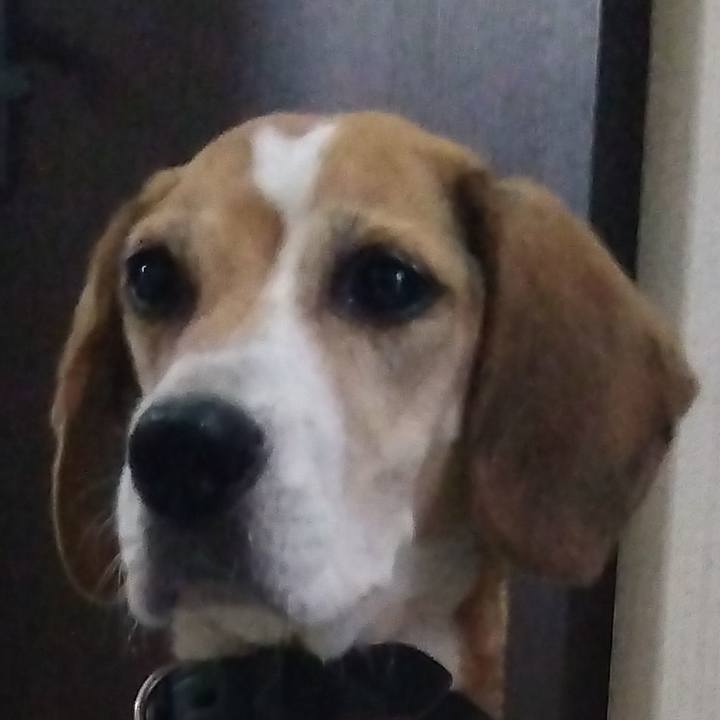 81e6cd64 89f9 4996 8d17 7ab579f3efbb 1696154782985