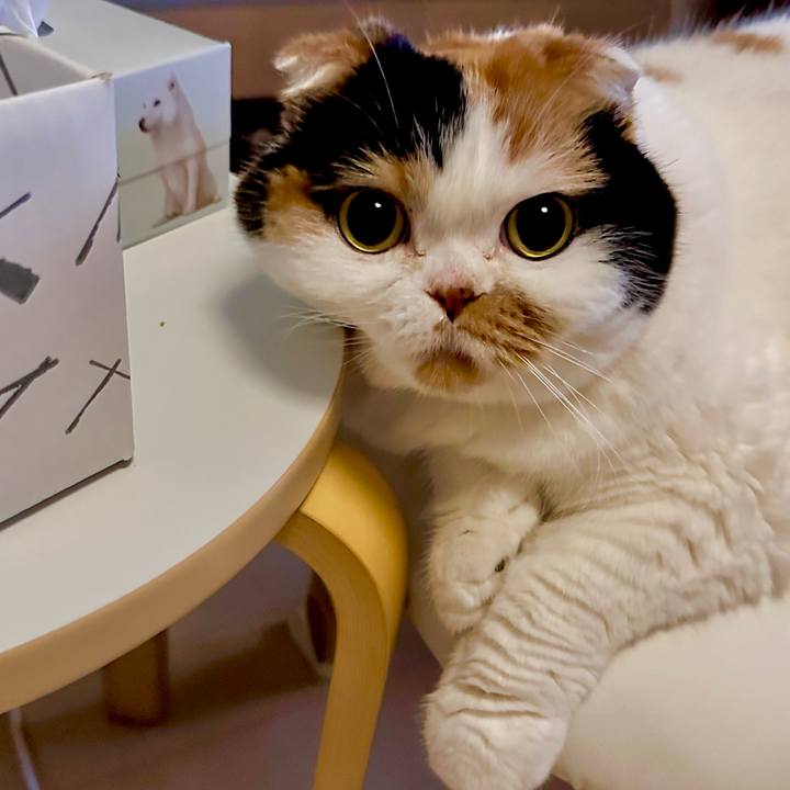 81e6dee0 d479 43d7 aeb2 9d3f84adc5fe 1690892138538