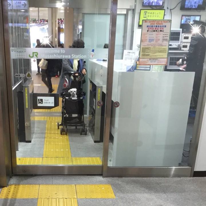 81e7079b 8489 4652 a452 c125109b84ae 1511092199353