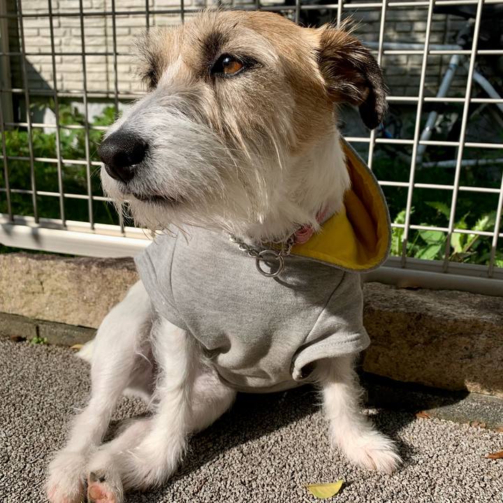 81e73524 c6a7 40e3 a5c8 2f95e74be690 1683082871201