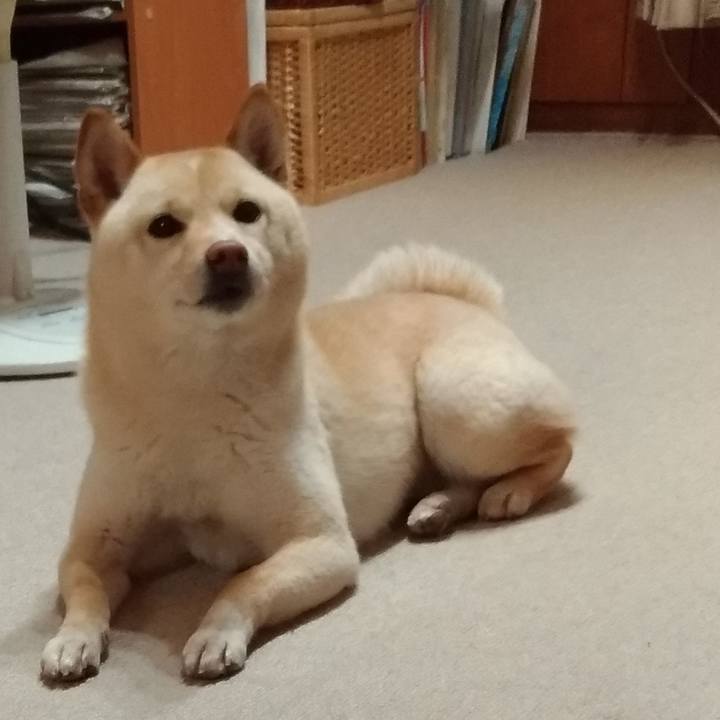 81e73f85 9d1f 4fb2 ac12 ac6b71427791 1556191816381