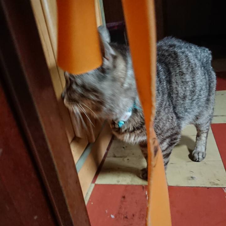 81e79780 5e89 4ab2 a0ba a77ba3b58e1e 1556011096905