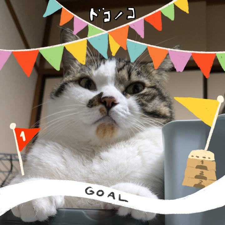 81e79e9d 4eef 4c5d 963c 5b28b1cd9efe 1729158043643