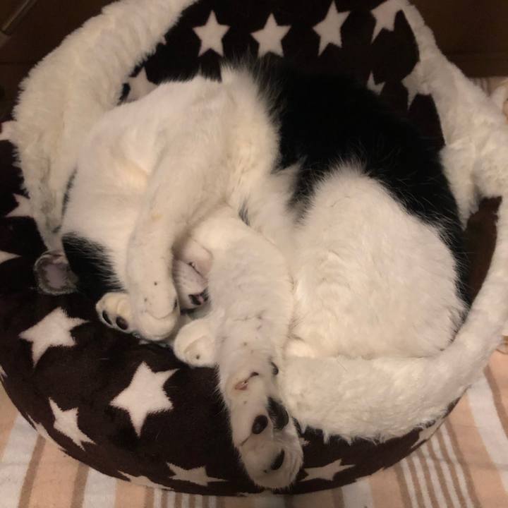 81e7a3bc 41b9 4c70 a68a 1a53d7be7e74 1578214912114