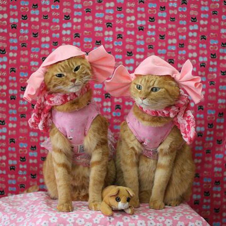 81e7ae89 c06d 424d be35 9efaefc1539f 1532766416602