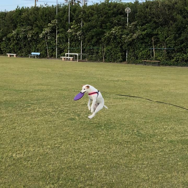 81e7f885 5ea7 4516 845e 1acaec84fd48 1526116892658