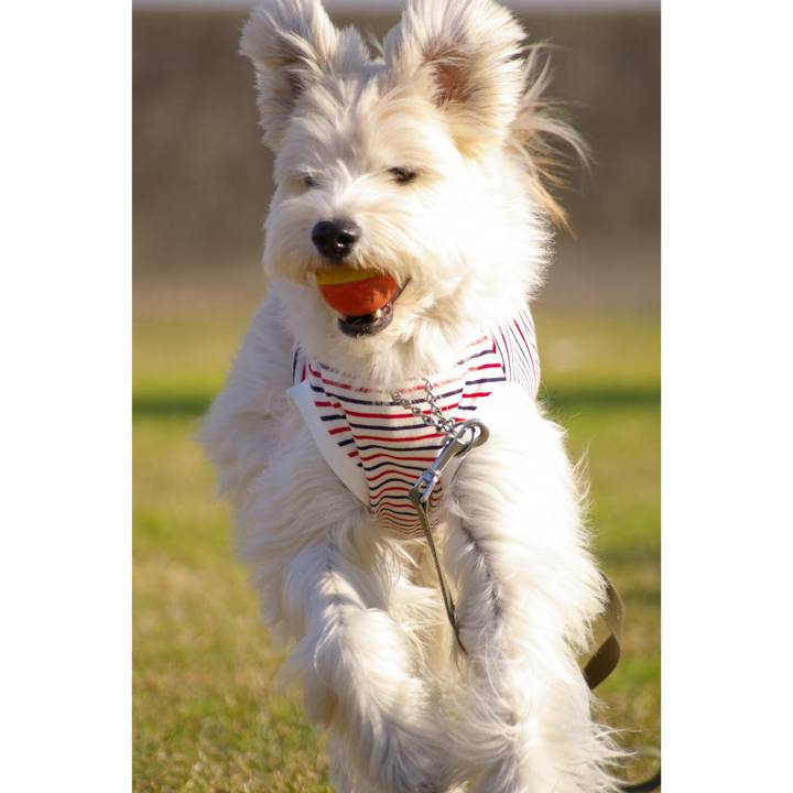 81e80687 290f 4887 909c 6842ad09577e 1582427338142