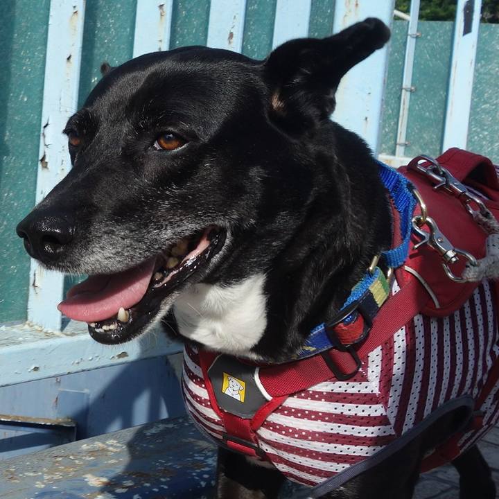 81e81b57 3ad3 4b19 9633 6b157480437e 1683246510823