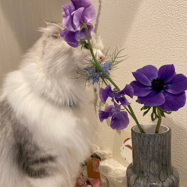 81e82bdb 63db 418b 8b58 1ed2c0097bda 1676903068613