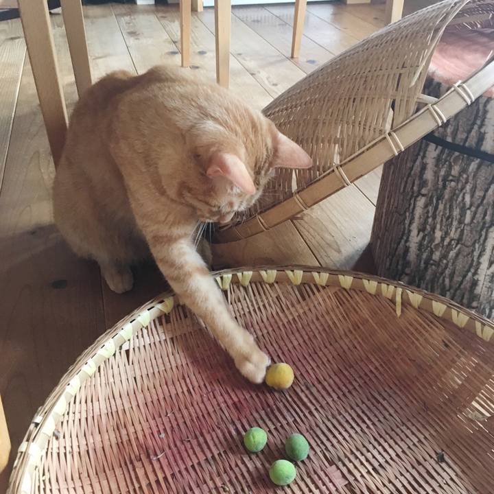 81e87da8 dd60 4363 8275 48d301dcc61a 1560903498179