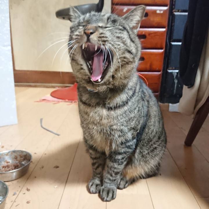 81e8b60a 12e0 4be8 ac68 fe8d12dd0e92 1642326630947