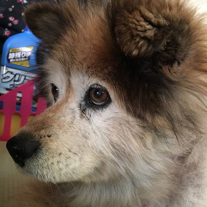 81e8b89f b06a 48d6 92f1 a4158d5631e9 1598929525704