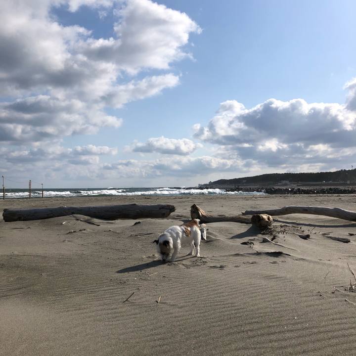 81e8c0f4 13d1 4baa 946c 5c1e2e1ac108 1586991434495