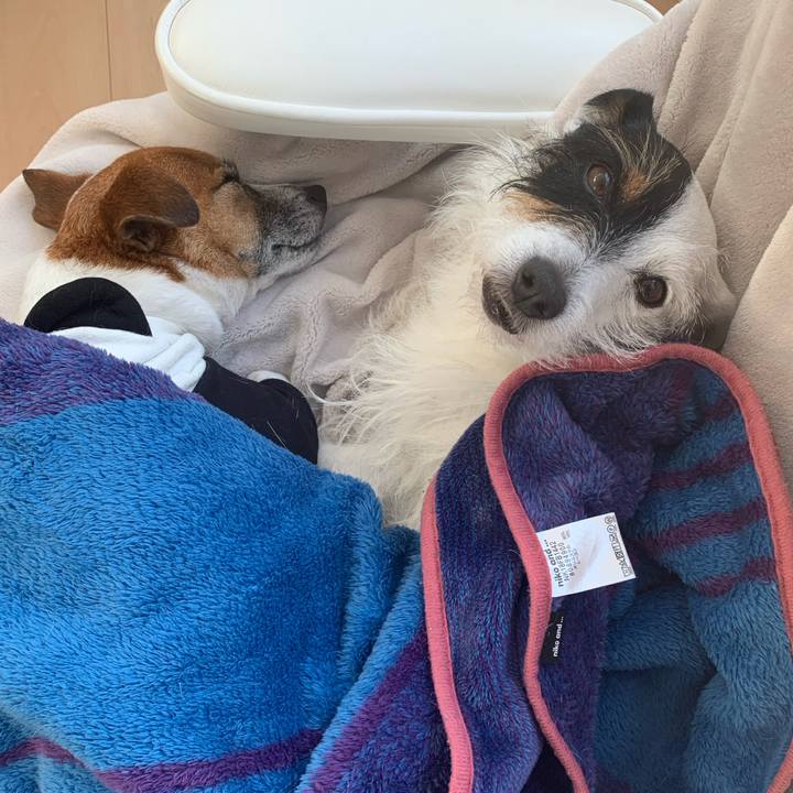 81e8c77b 6b2a 438d 8ccb 69eacda21880 1582096920287