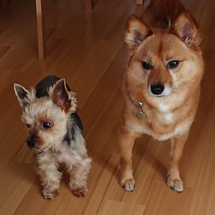 81e8dcf9 3c92 4aa0 bd27 ecbb6ed6b2a5 1559894084281