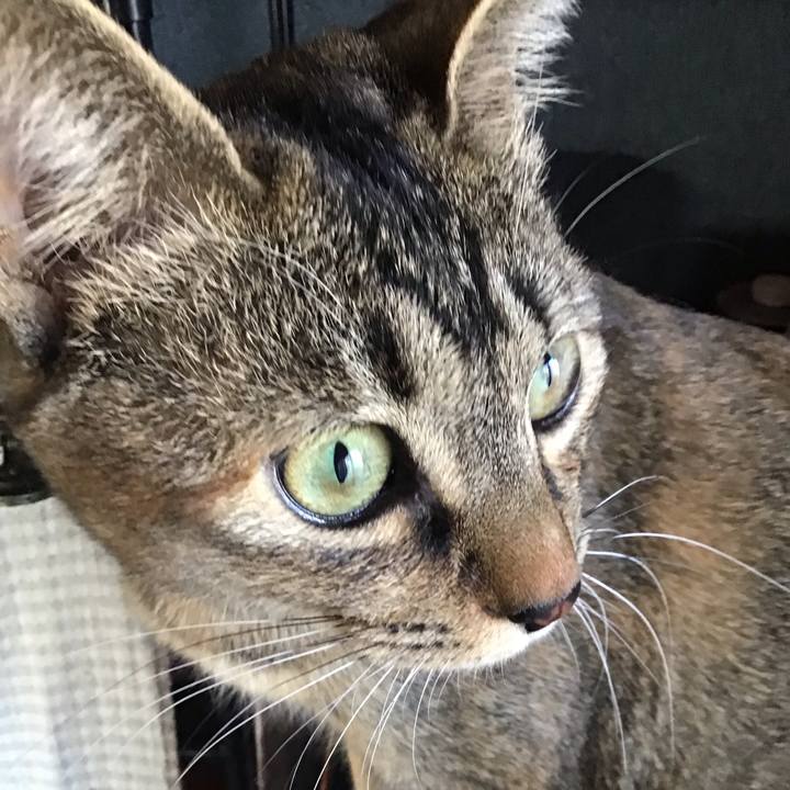 81e92166 57f4 4f22 85c3 dec6765fffa1 1582451512191