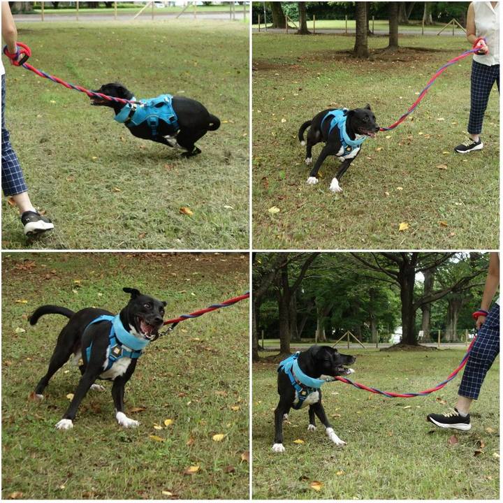 81e92328 431a 44cd 828b 41b6c1ef9fa6 1627605774057