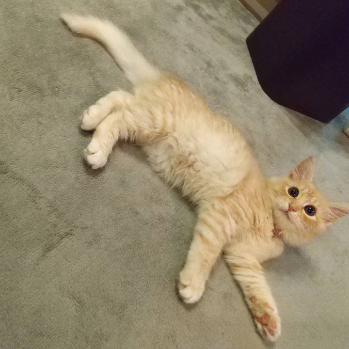 81e92969 b5e3 408c ad73 7611b89060fc 1605700887752