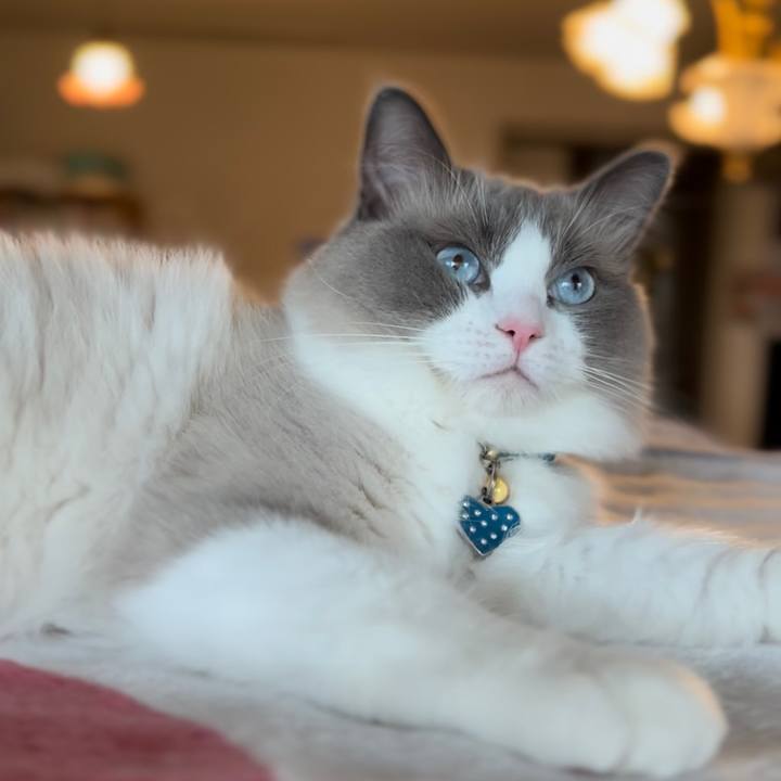 81e99390 15b0 4b2b 8473 5d3b58ea290b 1652683813285