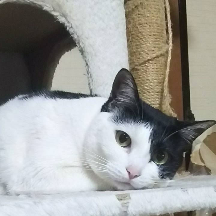 81e9a9f0 b254 4f39 bce7 d7b89565a5a0 1515426540067