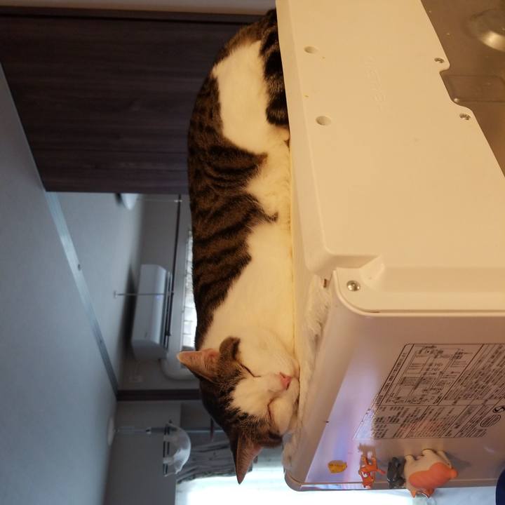 81e9ab59 d0f2 4c41 90e8 03df426787b7 1569534342291