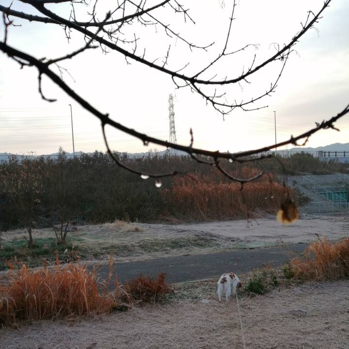 81ea3ebd ba8d 483c b111 d17e5d9b64c8 1609203772580