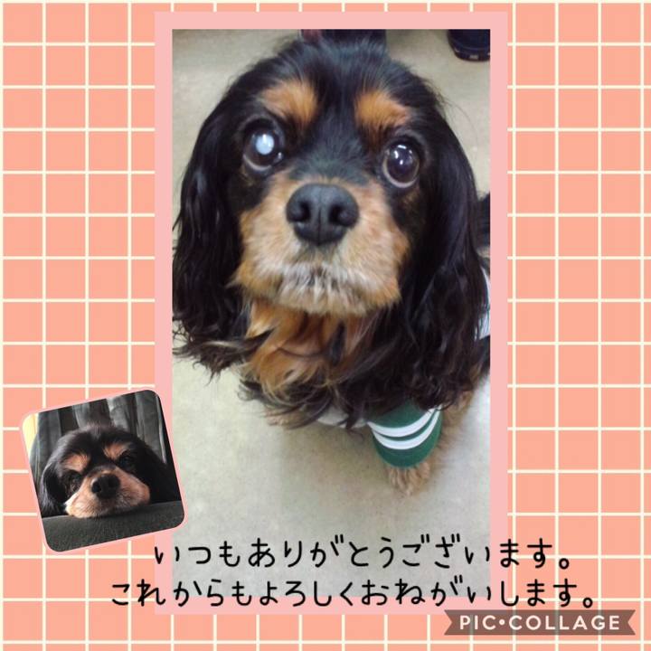 81ea9fd2 e12f 485b 9f52 22e03549b4f6 1540195415587