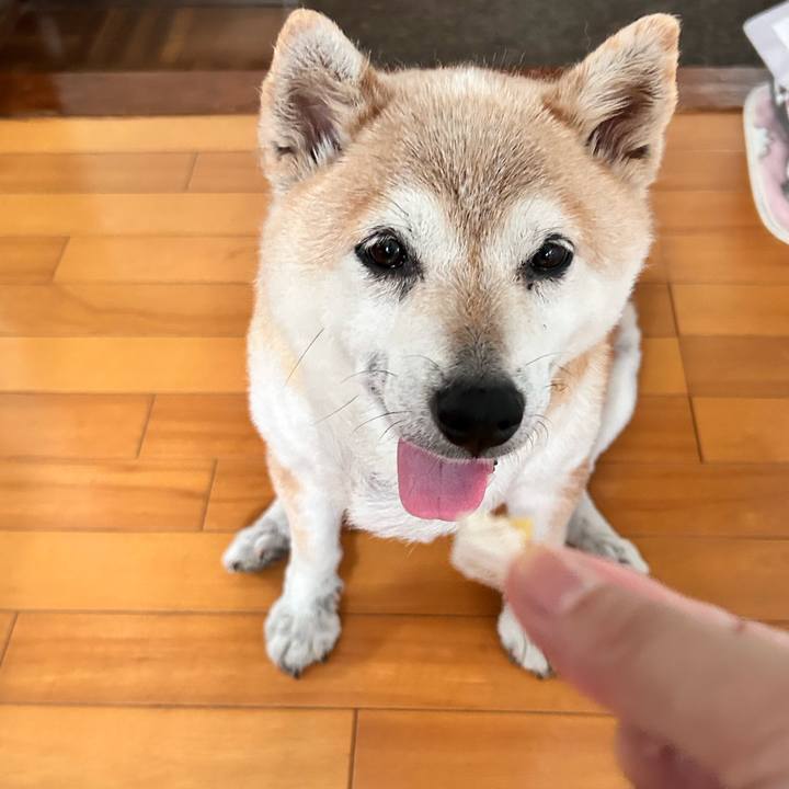 81eaaa07 2523 4e70 924d 96b8205a4eee 1751892055479